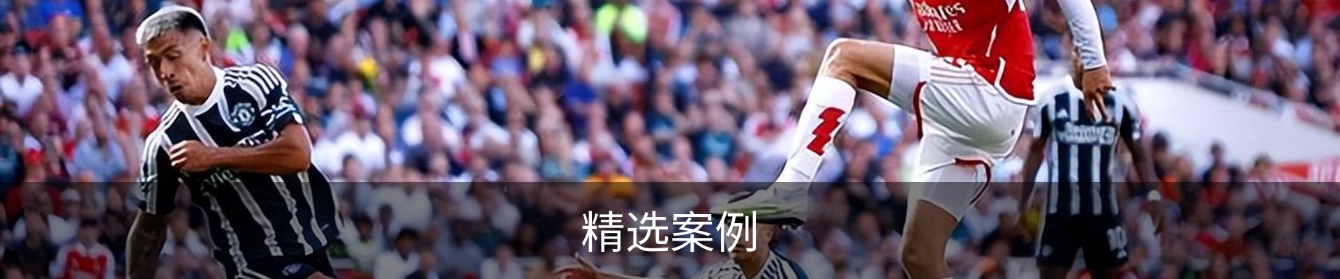 精选案例